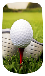 DAROYAL 344 Gone Golfing (Club)